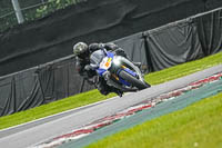 Middle Group Blue Bikes